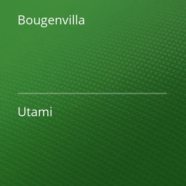 Bougenvilla - Utami