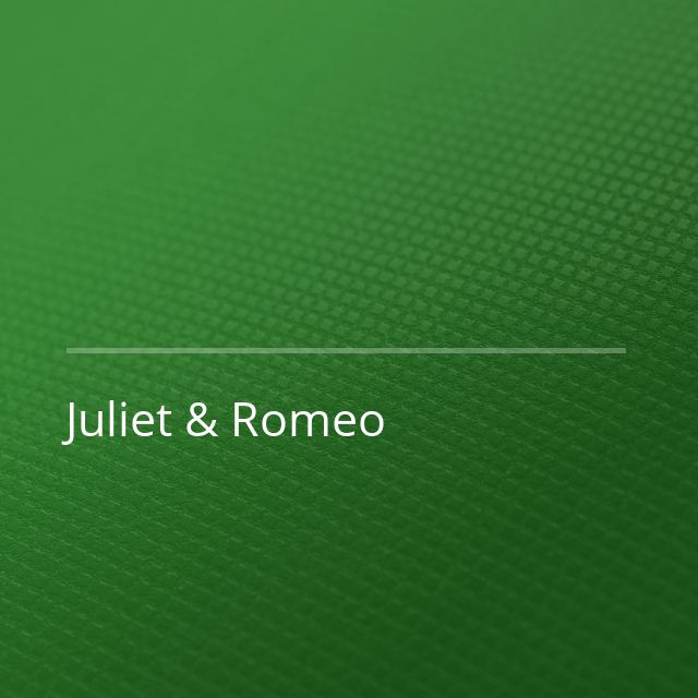 Martin Solveig/Roy Woods - Juliet & Romeo (Fabio Neural Remix)